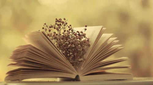 tuyen dung bien tap vien van hoc 00