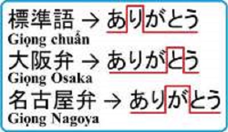 phuong ngu 1489135610 113.161.84.96