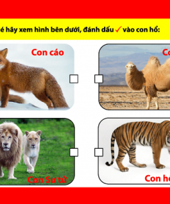 The flash card thong minh be nhan biet the gioi dong vat 02