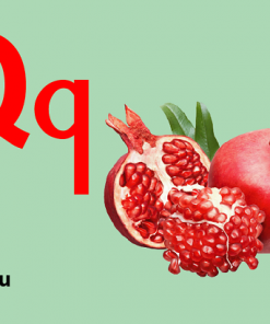 the flash thong minh 3 01