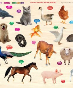 CÙNG CON CHƠI VÀ HỌC - Domestic Animals - Động vật nuôi - Công ty cổ phần  sách MCBooks