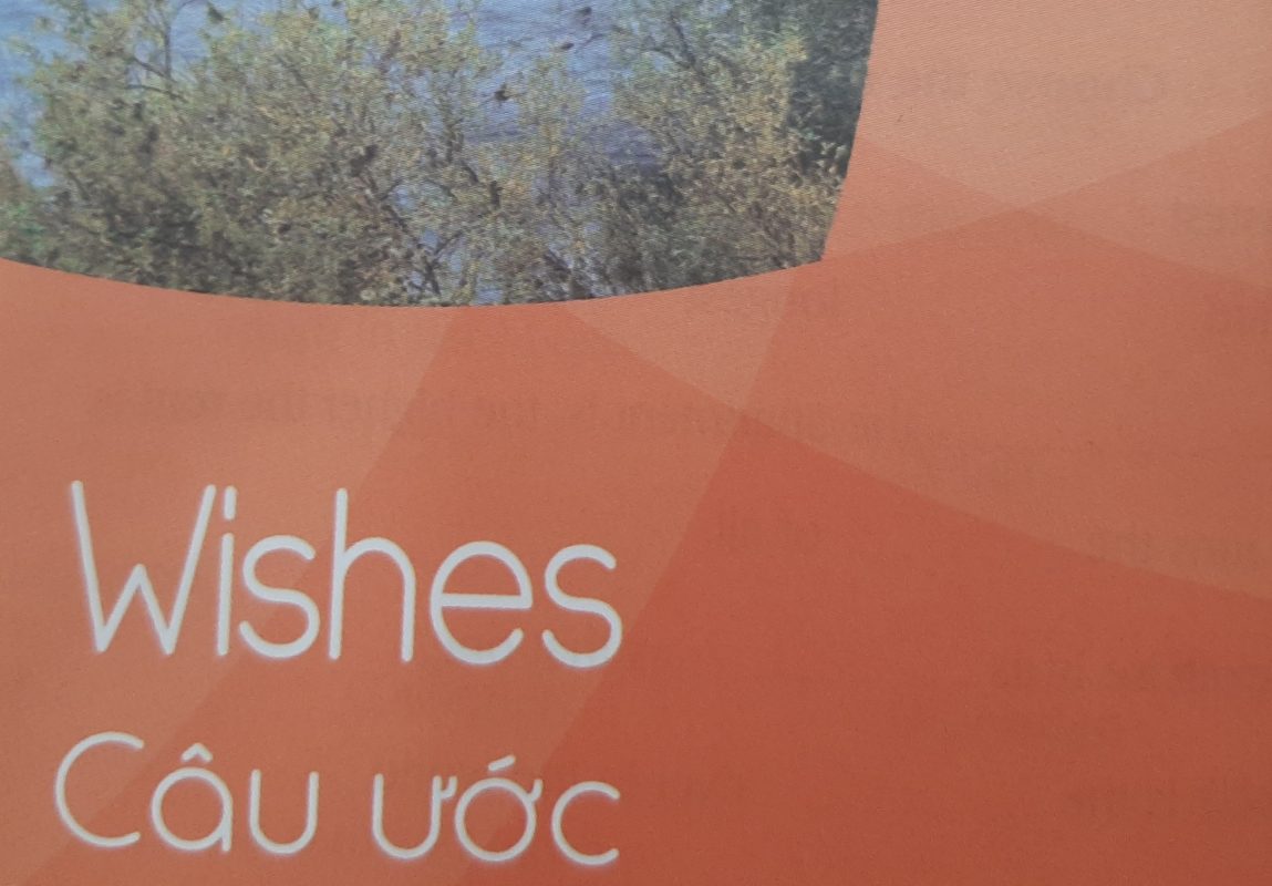 Câu ước trong tiếng Anh