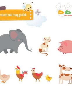 noi dung sach ong vang sieu tri tue quan sat tap trung ghi nho