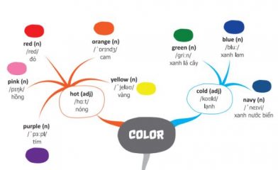 Học từ vựng tiếng Anh theo chủ đề: Cách học và những chủ đề phổ biến nhất