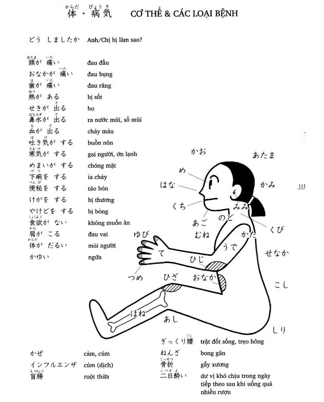 Tips Học Từ Vựng Hiệu Quả