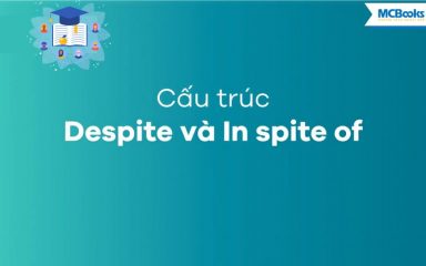 Cấu Trúc Despite và In Spite Of: Cách Dùng, Ví Dụ và Bài Tập Thực Hành