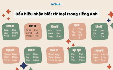 Từ loại trong tiếng Anh: Phân loại, cách dùng, ví dụ dễ hiểu