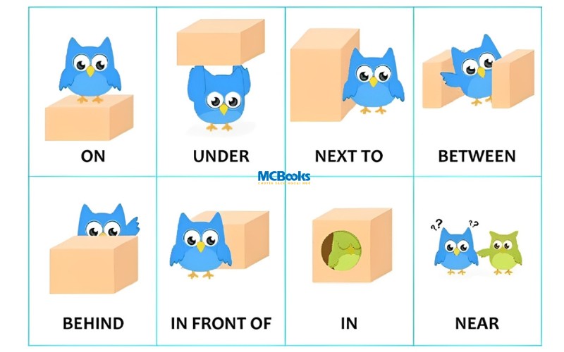 Giới từ trong tiếng Anh: Cách dùng chính xác, ví dụ cụ thể và bài tập luyện tập