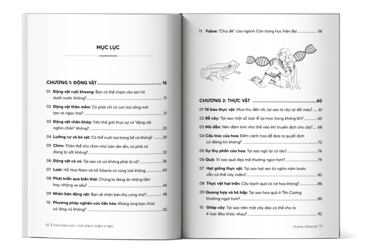 Mục lục của cuốn sách STEM Sinh Học - Thế giới tự nhiên kì diệu
