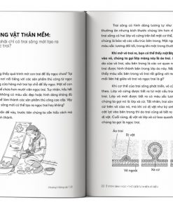 noi dung trong sach stem sinh hoc