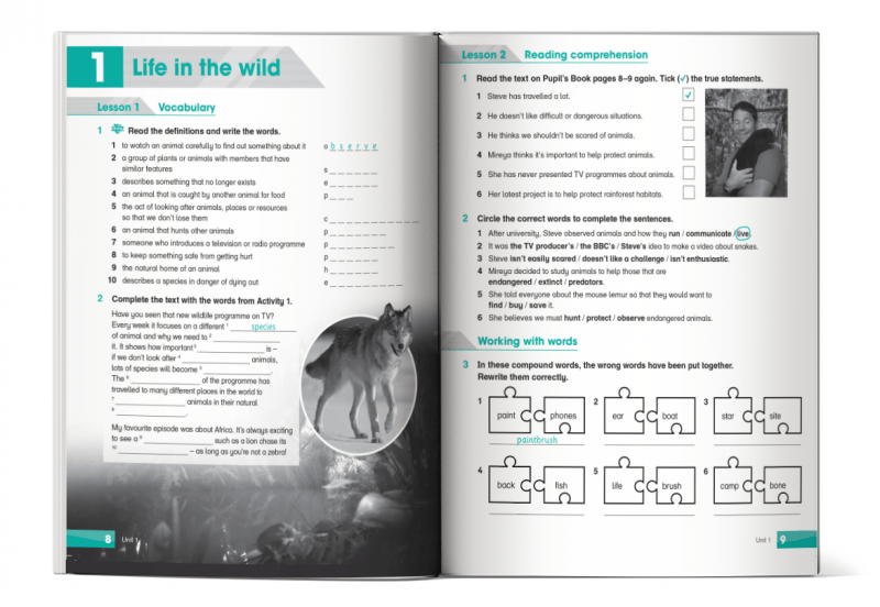 Nội dung Academy Stars WorkBook 6