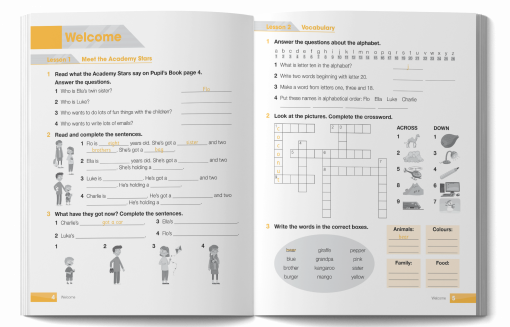 Academy Stars Workbook 3