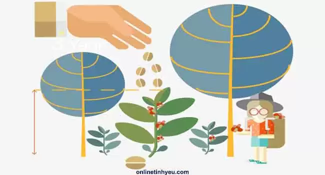 Bạn gieo cái gì thì gặt cái ấy. Suy nghĩ cũng vậy 