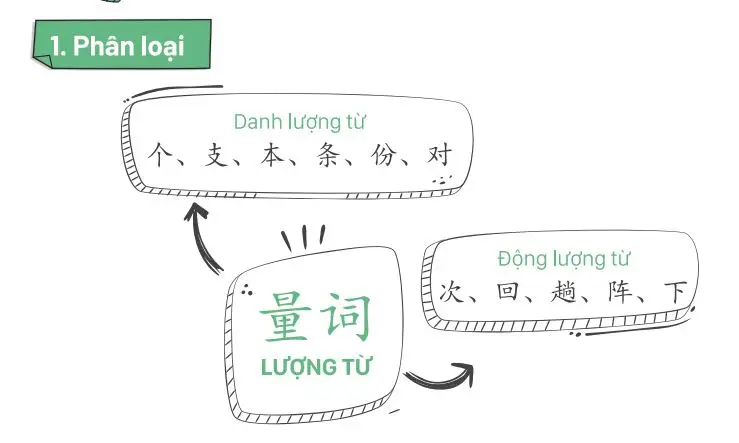 Lượng từ trong tiếng Trung được phân loại dựa trên các đặc điểm và tính chất của danh từ mà chúng kèm theo